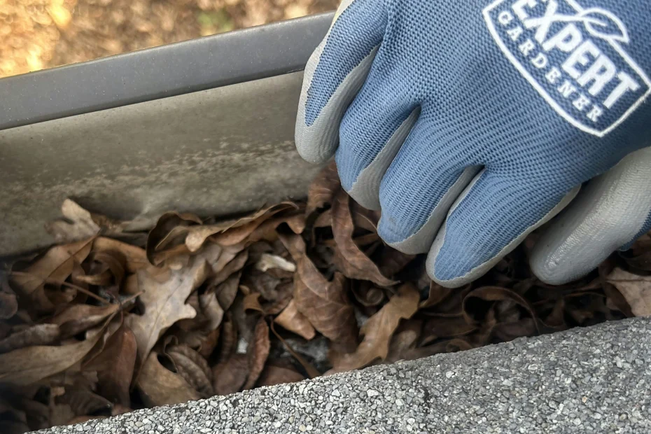 Gutter Cleaning Baltimore