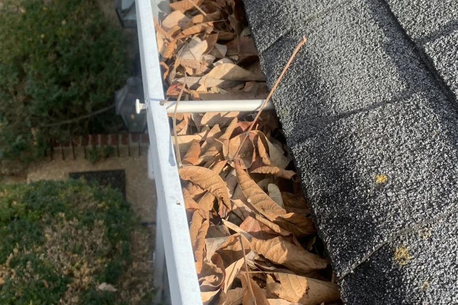 Gutter Cleaning Baltimore