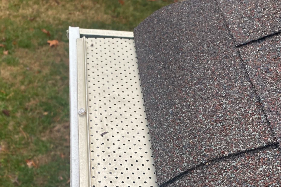 Gutter Cleaning Baltimore