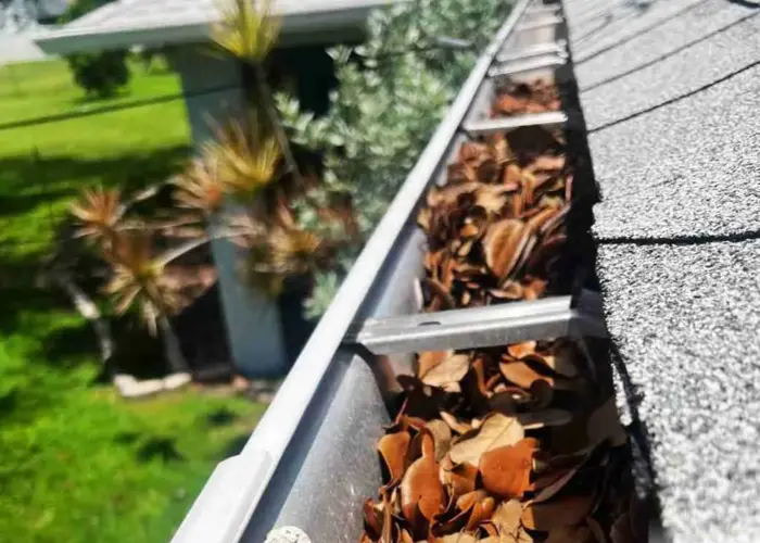 Gutter Cleaning Baltimore home page